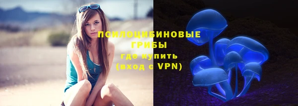 МДПВ Магадан