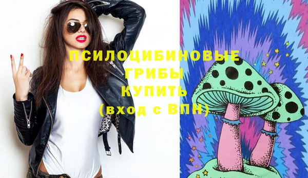 apvp Мегион