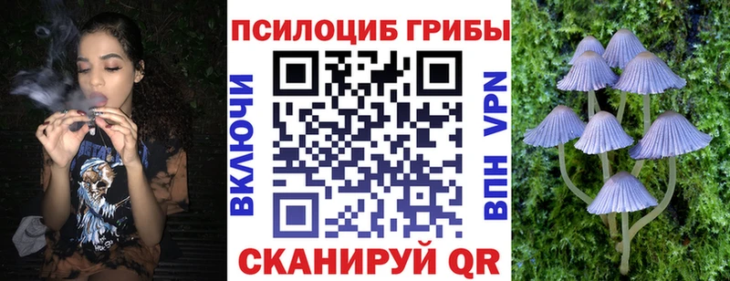 Псилоцибиновые грибы Psilocybine cubensis  Ардон 