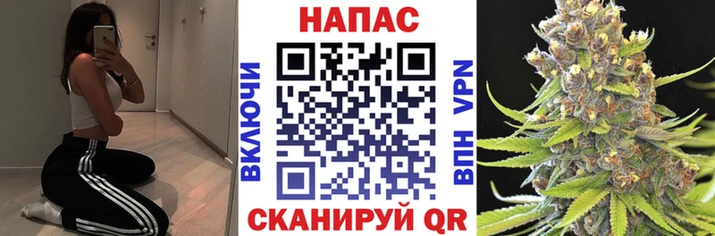 Бошки марихуана сатива  Ардон 
